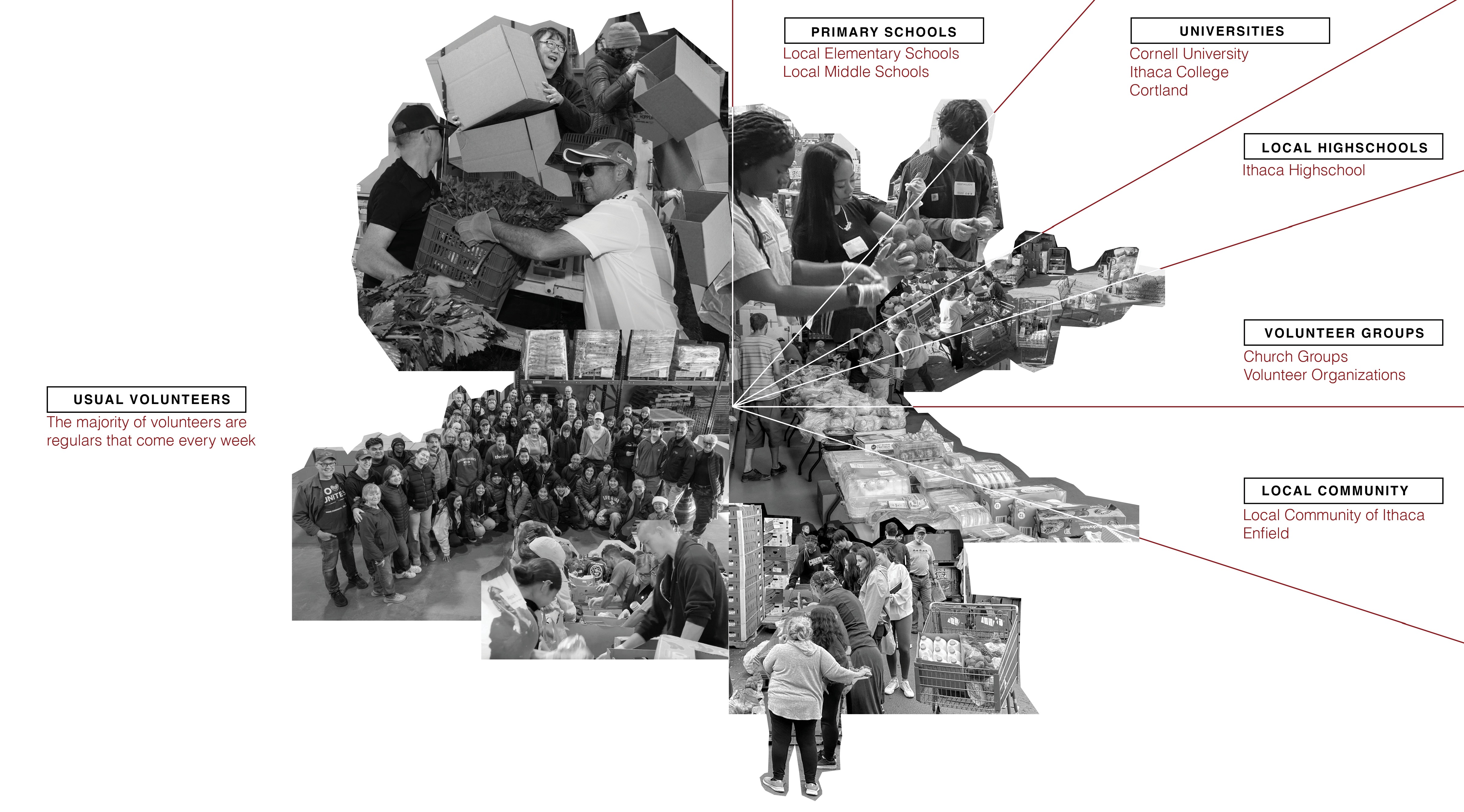 Shifting Community — Volunteer Network